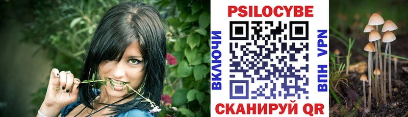закладка  Ворсма  Галлюциногенные грибы GOLDEN TEACHER 